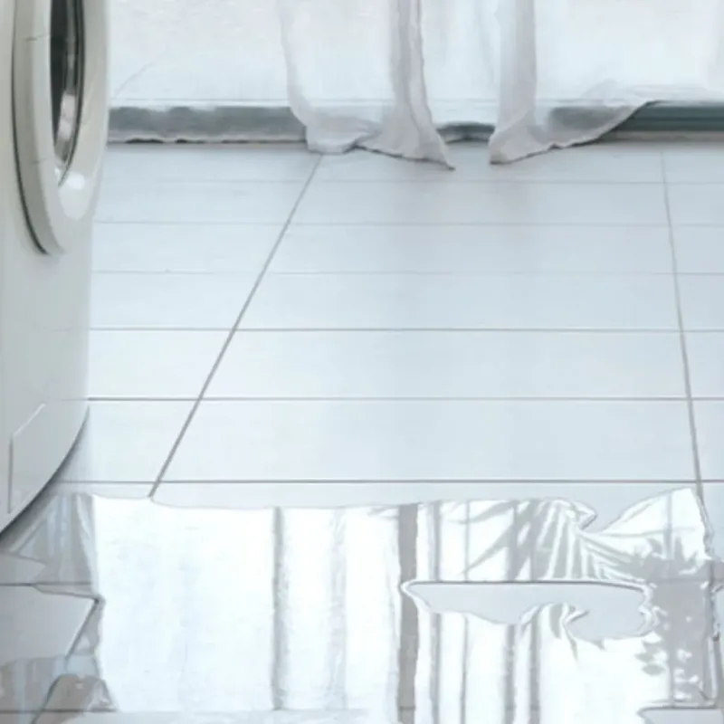 Appliance Leak Cleanup in Windsor, CO